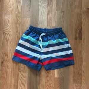 Chubbies Small Navy Swim Shorts